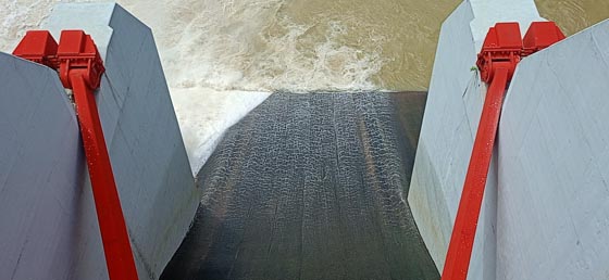 image-here